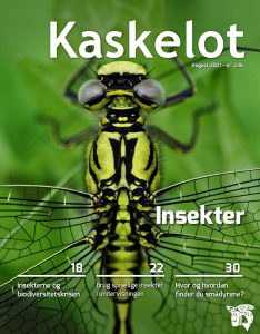 Kaskelot 236